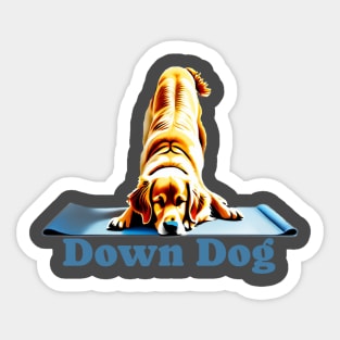 Golden Labrador doing the down dog yoga pose Sticker
